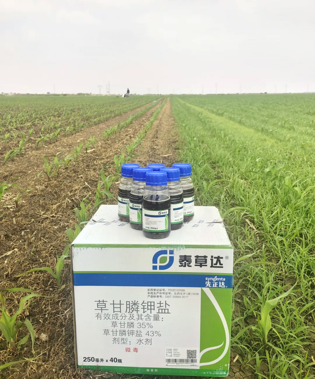 97国际-至尊品牌,源于诺言