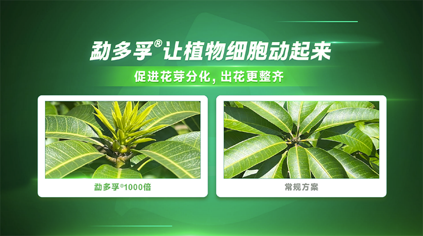 97国际-至尊品牌,源于诺言